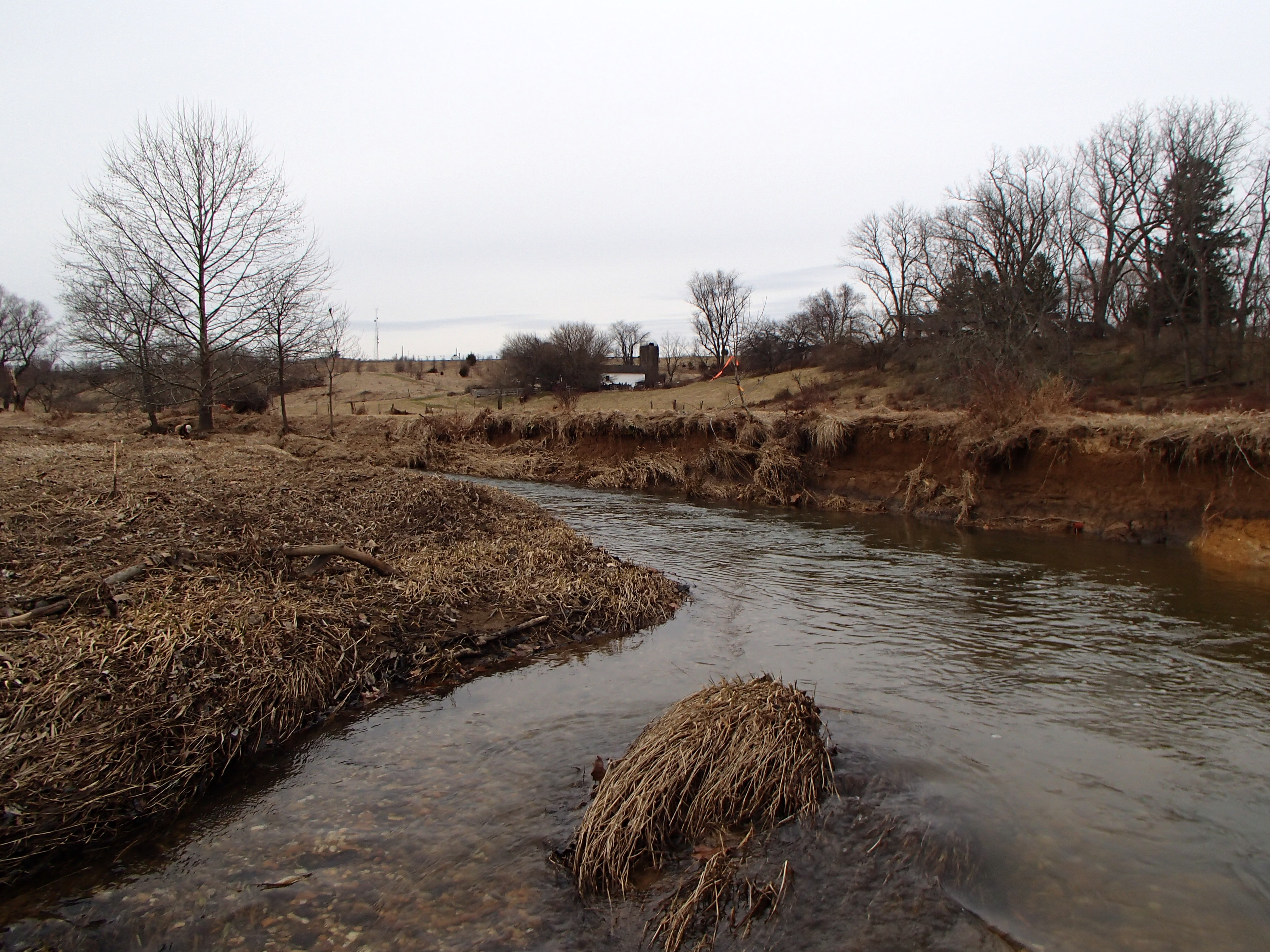 Field photo showing stream conditions at site SBPA-201-X-2016_midpoint looking upstream